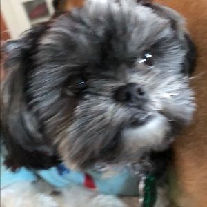 Meet your Posher, Karen